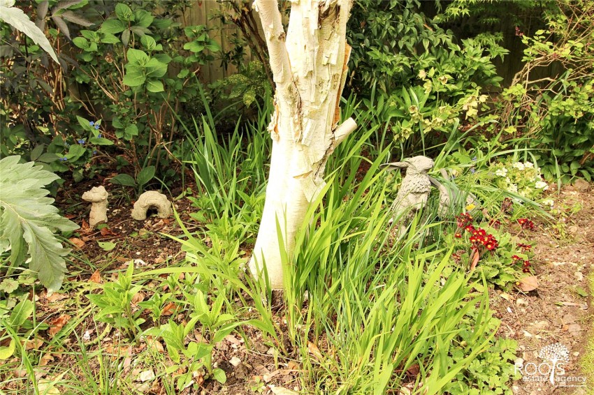 Images for Thatcham, Berkshire