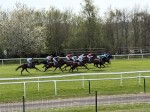 Images for Newbury Racecourse, Newbury, Berkshire
